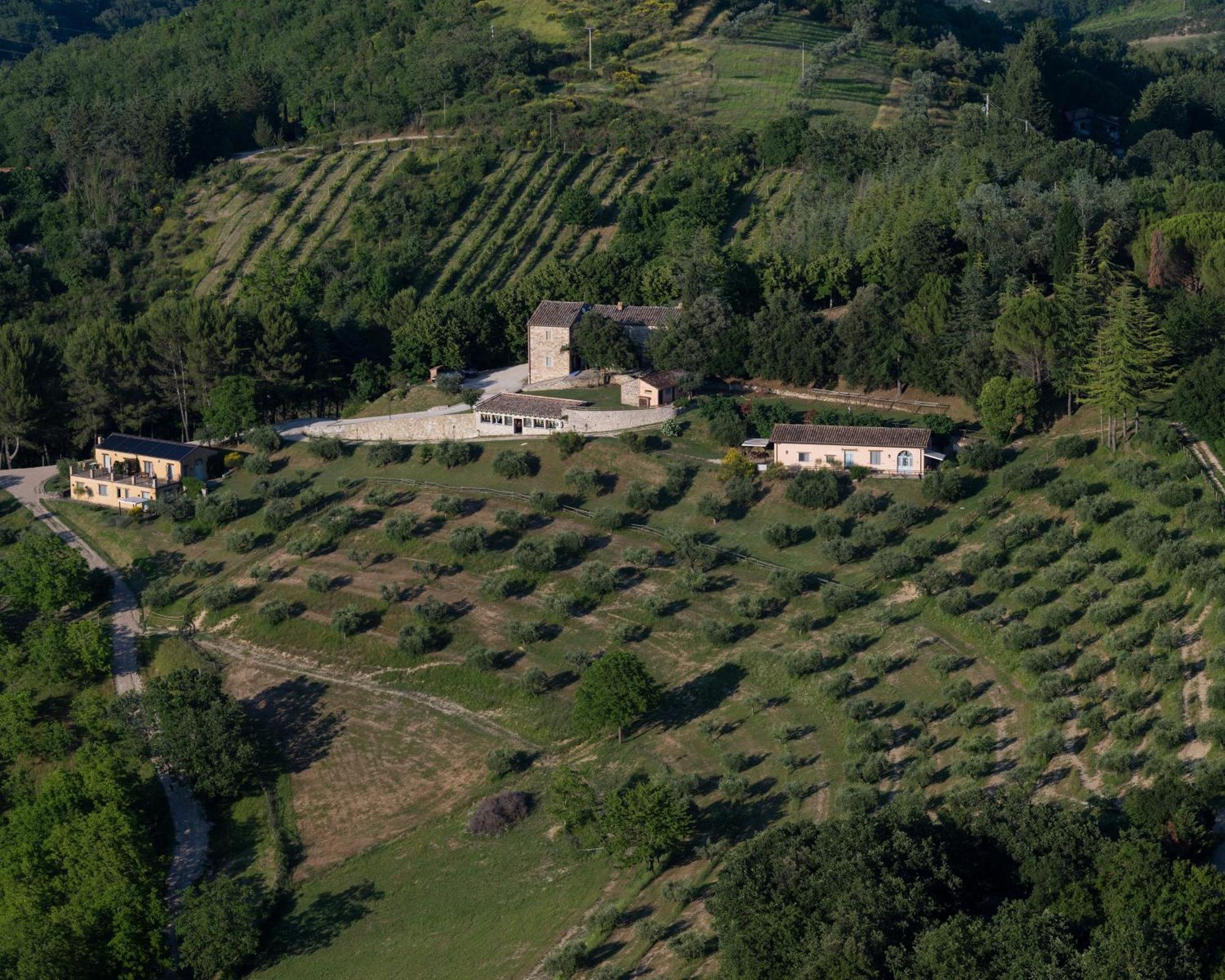 Agriturismo La Fonte Perugia Exterior foto